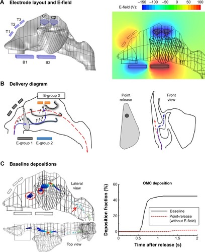 Figure 5 Electrode layout and performance of a baseline design.Notes: (A) Diagram of the electrode layout with three groups and the electric potential field; (B) desirable path of particles for effective OMC delivery, and (C) depositions with the baseline delivery system. Each electrode group in the proposed delivery system has a designated function. E-group 1 aims to reduce drug deposition in the nasal valve, E-group 2 aims to push particles into the middle meatus, and E-group 3 aims to attract particles to the sinus ostium. Point-release was used to minimize drug loss in regions other than the target.Abbreviations: OMC, ostiomeatal complex; T, top; B, bottom; C, cone.