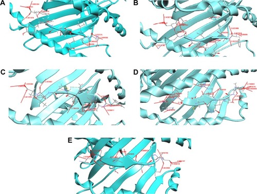 Figure 2 Docking results for OMPs of F. columnare.