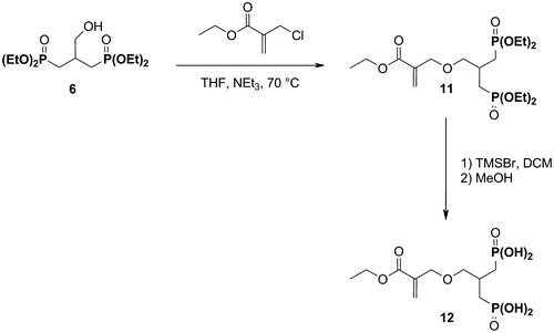 Scheme 4 Synthesis of the acidic monomer 12.