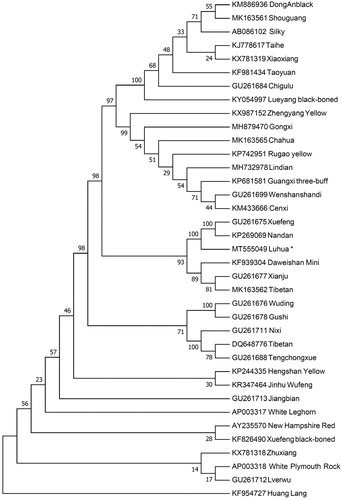 Figure 1. Neighbor-joining tree based on the complete mitochondrial DNA sequence of 37 chicken breeds. GenBank accession numbers are given before the species name.