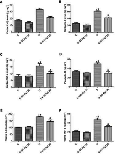 Figure 3 Effects of GS Rg1 supplementation on cardiac and plasma inflammatory cytokines of control and diabetic rats. (A) Cardiac IL-1β levels. (B) Cardiac IL-6 levels. (C) Cardiac TNF-α levels. (D) Plasma IL-1β levels. (E) Plasma IL-6 levels. (F) Plasma TNF-α levels. The significance was set at P<0.05. (*) vs C; (#) vs C+GS Rg1 20; (&) vs D.