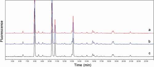 Figure 4. Comparison of glycan profiles. (a) mAb1 without purification; (b) mAb1 purified from PBS buffer with three-step purification; and (c) mAb1 purified from serum with three-step purification. Overlay of three profiles demonstrated that interference by serum glycoproteins in mAb1 glycan profile was negligible after three-step purification