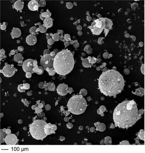 Figure 1 Scanning electron microscopy of mesalamine-coated microparticles.