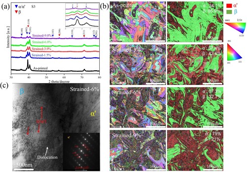 Figure 12. (a) XRD profiles and (b) EBSD analysis of the S3 alloy in as-printed state illustrate the continuous transformation of the β phase to the a′ phase during a tensile test. (c) SIMT was found in the stress concentration area at a strain of 6%.