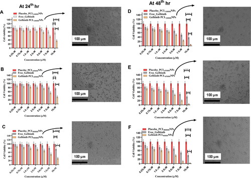 Figure 5. Cell viability studies of free Gefitinib, Placebo, Gefitinib PCL10,000NPs, Gefitinib PCL45,000NPs, Gefitinib PCL80,000NPs, on NCI-H460 cell lines using MTT assay at 24th hours (A–C) & at 48th hours (D–F) (mean ± SD; n = 3, *p ≤ 0.05, **p ≤ 0.01, ***p ≤ 0.001). The NCI-H460 cell behaviour was also can be seen after incorporating Gefitinib PCL10,000NPs, Gefitinib PCL45,000NPs, Gefitinib PCL80,000NPs at 24th and 48th hours.