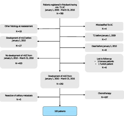 Figure 1. Flow diagram depicting the population screened for study enrollment, reasons for exclusion and the final study population.