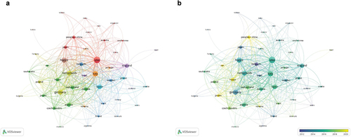 Figure 3. Bibliometric analysis of the co-authorship of countries/regions in the field of BC immunotherapy. (a) Network visualization map of countries/regions collaborations in the field of BC immunotherapy. (b) Overlay visualization map of countries/regions collaborations in the field of BC immunotherapy.