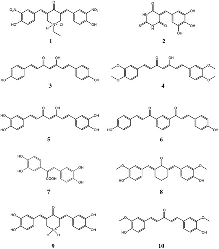 Figure 1. Structures of synthetic curcumin analogues and curcuminoids used in this study.
