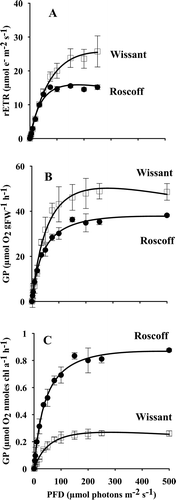 Fig. 1. Photosynthesis-irradiance curves (P-I curves) of gametophytes of Laminaria digitata from Wissant (□) and Roscoff (●) (n = 3), expressed as (A) relative electron transport rate (rETR, µmol e– m–2 s–1), (B) gross oxygen production on a fresh weight basis (GP, µmol O2 gFW–1 h–1) and (C) gross oxygen production per unit chl a (GP, µmol O2 nmoles chl a–1 h–1).