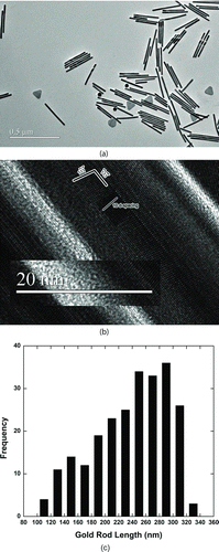 FIG. 1 (a) TEM image of the gold nanorod sample. (b) Gold lattice spacing are used for the calibrations of the length and width of gold rods. (c) Histogram of rod length of the gold nanorod sample.