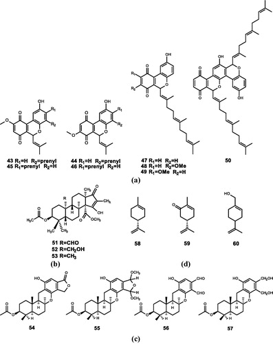 Figure 4. Chemical structures of terpenoids extracts from (a) Aplidium conicum and their derivatives (43–50); (b) Penicillium sp. (51–53); (c) Stachybotrys kampalensis and their derivatives (54–57); (d) plant essential oils (58–60).