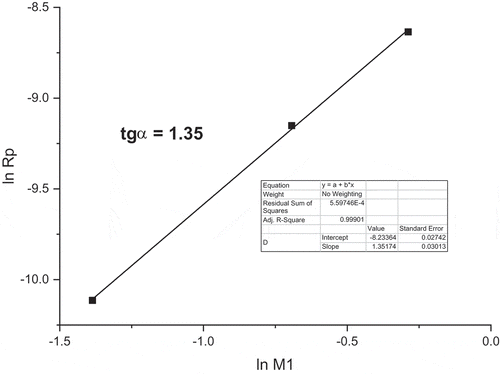 Figure 3. Dependence of M1 initial polymerization rates on starting monomer concentrations in MeOH at 60°C; [AIBN] = 0.05 mol/L.