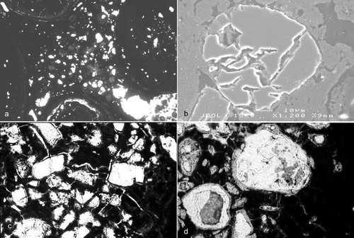 Figure 14 Cemented bauxite. (a) Optical thin-section from Messmate West pit, Andoom (ANU 56354), showing several small pisoliths, clay-sized masses of Fe-oxyhydroxide pellets, voids and quartz. (b) SEM image of an etched quartz grain from the Jacaranda pit, Andoom (ANU 46580). (c) Cemented bauxite showing the replacement of quartz by gibbsite from Messmate East pit at 1.3 m below surface (ANU 56364). (d) Voids after ?quartz wholly or partially filled with well crystallised gibbsite in the cemented bauxite from Messmate West pit (ANU 56354).