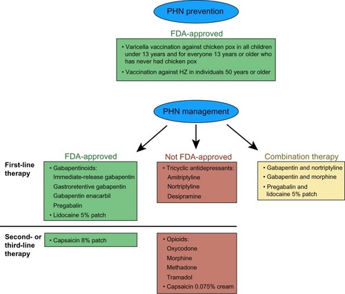 Figure 2 Current postherpetic neuralgia (PHN) prevention and treatment options.