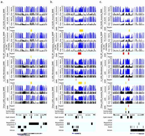 Figure 4. LOS-vulnerable loci around promoter regions. This figure shows DNA methylation level of vulnerable loci 7_2579941_2581100 (a), 8_43514181_43518080 (b), and 9_64659781_64660620 (c) in four LOS experiments. The aforementioned numbers refer to the chromosomes and genomic position in bovine genome assembly ARS-UCD1.2. Met% = group mean CpG methylation level in percent. Cov = group mean CpG read coverage. DMR = differentially methylated regions. Hyper = hypermethylation (red). Hypo = hypomethylation (yellow).