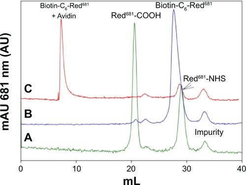 Figure S1 Chromatographic analysis of red681 derivatives. (A) Starting NHS reagent, (B) biotin-C -red681 derivative (compound 3), and (C) compound 3 in the presence of avidin.Notes: Analyses were carried out using fast protein liquid chromatography apparatus (Akta Purifier, GE Healthcare, Little Chalfont, UK) equipped with a Superdex peptide column and eluted with 10 mM phosphate, 150 mM NaCl, pH7.4 (phosphate-buffered saline) at 0.5 mL/min. Chromatograms were registered at 681 nm.Abbreviations: ANANAS, avidin-nucleic acid nanoassembly; NHS, N-hydroxysuccinimide.