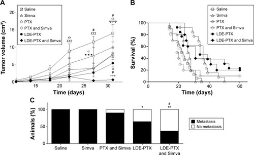 Figure 1 Antitumor activity in melanoma-bearing mice.Notes: Mice treated with PTX oleate 17.5 μmol/kg associated with LDE + Simva 50 mg/kg; PTX oleate 17.5 μmol/kg associated with LDE; commercial formulation of PTX 17.5 μmol/kg + Simva 50 mg/kg; commercial formulation of PTX 17.5 μmol/kg; Simva 50 mg/kg; and saline solution 0.9% as control. Animals were intraperitoneally injected with chemotherapy on days 11, 14, and 19. Simva was administered daily by gavage from day 11 to day 19. Each group comprised ten to 16 animals. Tumor sizes were monitored by periodic caliper measurements, and are presented as means ± standard error of mean. (A) Tumor-growth curves: Θvs Simva (P<0.05); χχχvs LDE-PTX and Simva, vs LDE-PTX, and vs PTX (P<0.001); #vs PTX and Simva (P<0.05); αvs LDE-PTX (P<0.05); ***vs LDE-PTX and Simva (P<0.001); εεvs PTX (P<0.01); ΨΨΨvs LDE-PTX and Simva and vs LDE-PTX (P<0.001); +++vs all the other groups (P<0.001). (B) Kaplan–Meier survival curves. (C) Percentage of animals bearing macroscopic metastasis: ••vs saline (P<0.01); •vs saline (P<0.05); #vs PTX and Simva (P<0.05).Abbreviations: PTX, paclitaxel; LDE, lipid nanoemulsion; Simva, simvastatin.