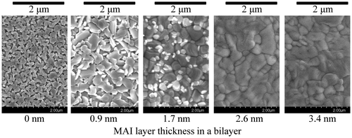 Figure 5. Position dependence of the film surface morphology in the combinatorial library, measured by SEM. The MAI layer thickness increases from left to right.