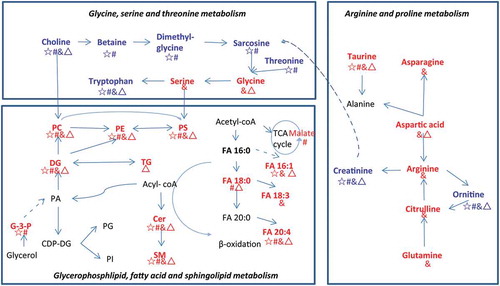 Figure 7. Metabolic pathways of differential metabolites between EVs and pleural fluid.