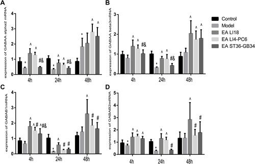 Figure 4 EA of LI18 and LI4-PC6 upregulates the expression levels of GABA-Aα2, GABA-Aβ3, GABA-B1 and GABA-B2 mRNAs in the dorsal part of the cervical spinal cord (C3-C5). Histograms showing the expression levels of GABA-Aα2 (A), GABA-Aβ3 (B), GABA-B1 (C), and GABA-B2 (D) mRNAs at 4, 24 and 48h in the 5 groups (mean±SD, N=8 per group). The expression levels of GABA-Aα2 mRNA at 4 and 24h (A), GABA-Aβ3 mRNA at 24h (B), GABA-B1 mRNA at 4h (C) and GABA-B2 mRNA at 4 and 24h (D) were significantly down-regulated in the model group (P<0.05). After EA, the expression levels of the 4 mRNAs at 4 and 24h in both LI18 and LI4-PC6 groups (except GABA-B1 mRNA at 24 h in the LI4-PC6 group), GABA-Aβ3, GABA-B1 and GABA-B2 mRNAs at 48h in the LI18 group were significantly upregulated compared with the model group. *P<0.05, vs the control group, ^P<0.05, vs the model group, #P<0.05, vs the EA LI18 group, &P<0.05, vs the EA LI4-PC6 group. The df was 4 between groups, and 35 within groups. The F-values were 40.019, 32.828,13.924 for GABAAalpha2, 10.154, 33.745, 11.188 for GABAAbeta3, 27.238, 56.972, 8.854 for GABAB1, 17.394, 37.752, 8.037 for GABAB2, at 4, 24 and 48h after incision, respectively.