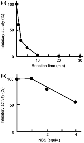 Fig. 4. Chemical modification of mSSP-1.Notes: (a) Effect on the inhibitory activity of mSSP-1of trinitrophenylation of the Lys residues by TNBS and (b) oxidation of a Trp residue by NBS. The residual inhibitory activity was measured by using brevilysin H6 (20 μg/mL) as the enzyme.