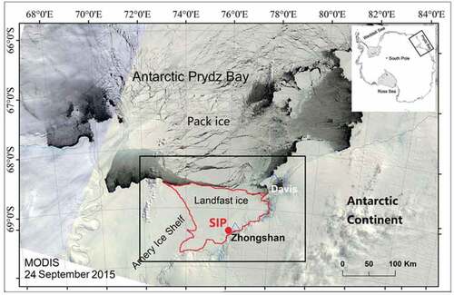 Figure 1. The MODIS image of Prydz Bay, East Antarctica (24 September 2015), modified from the figure in Zhao et al. (Citation2020). The domain of FIPS V2.0 is denoted by the black rectangle. The fast ice region is denoted by the red border. The in-situ observation site (SIP) is denoted by the red dot, which is located about 100 m off the coast.