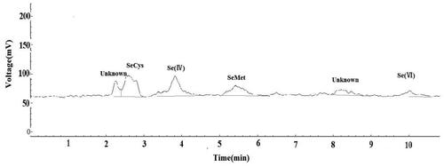 Figure 4. Typical chromatogram of the flue-cured tobacco roots treated with 22.2 mg kg−1 Se obtained when using an eluent containing 60 mmol L−1 (NH4)2HPO4 at pH 6.00. The optimized operational conditions for HG-AFS as described in Table 1. The retention times of the unknown species were 135 s (2’15") and 492 s (8’12") in Figure 4. The unknown species were not identified due to the lack of Se standards in this method.