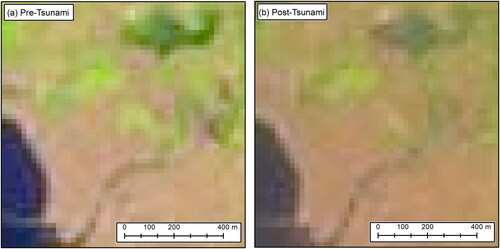 Figure 2. Sentinel-2A: (a) Before the disaster; (b) After the disaster.