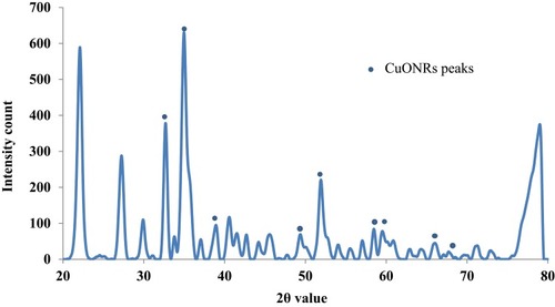 Figure 5 XRD pattern determination of CuO nanorods.