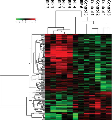 Figure 1. Clustering analysis results. Each line represents one long noncoding RNA (lncRNA) and each column represents one endometrial sample. The relative lncRNA expression is depicted according to the color scale. Red column indicates up regulation and green column indicates down regulation. Recurrent implantation failure (RIF) 1~7 represent RIF endometrial samples and Control 1~5 represent receptive control endometrial samples.