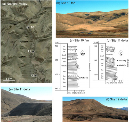 Fig. 6 Nathorst Valley. (a). Overview of the Nathorst Valley (image from Google Earth). Between sites 11 and 12 there are a series of deltas at successively lower levels. (b) A northward view of erosional remnants of a fan in the innermost part of the valley (site 10). (c) Sediment section from site 10, in the southern part of the fan shown in (b). (d) Sediment section at site 11. This delta was deposited as the Liverpool Land-based glacier's front was at or close to the Gåseelv moraine, so the optically stimulated luminescence (OSL) age is a close estimate of the formation of the moraine. (e) A south-facing photograph of one of the deltas in the middle part of the valley, this one with a top surface at 154 m a.s.l. (site 11). (f) An eastward view of the site 12 delta at 110 m a.s.l. at the mouth of the valley (site 12). See Fig. 4 for lithofacies codes.