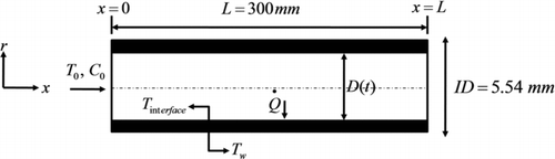 FIG. 1 A schematic of the model.