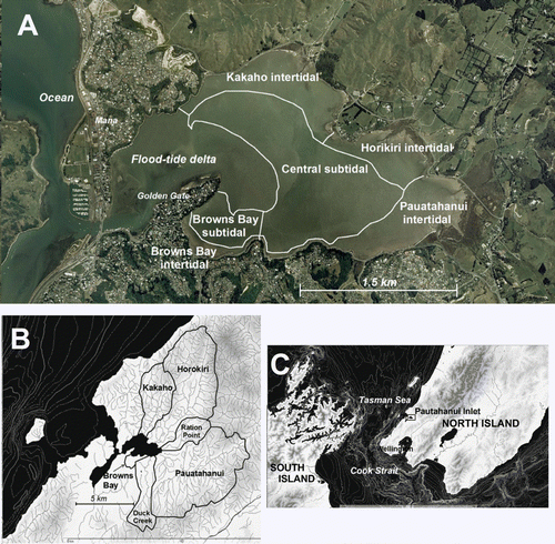 Figure 1  Location maps. A, Pāuatahanui Inlet, showing sub-estuaries. (Base map: MapToaster Topo, software by Integrated Mapping, © MetaMedia Ltd.) B, Catchment, showing sub-catchments. (Base map: TUMONZ, Vision Software for Management & Technology Systems Ltd.) C, Pāuatahanui Inlet, North Island of New Zealand. (Base map: TUMONZ, Vision Software for Management & Technology Systems Ltd.)