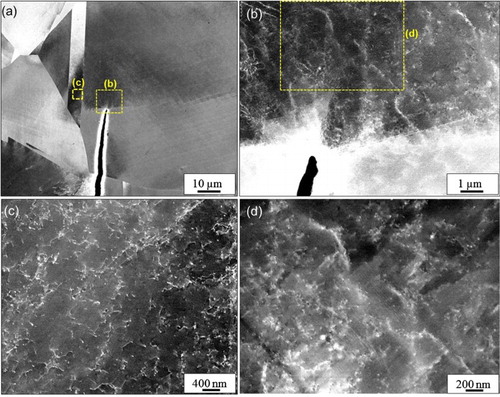 Figure 5. Electron channeling contrast (ECC) images of the Fe-18Cr-14Ni steel: (a) Dislocation structure at the crack tip corresponding to the crack tip outlined by the red dashed lines in Figure 3(f), (b and c) magnified images of the regions outlined by the dashed lines in Figure 5(a) and (b).