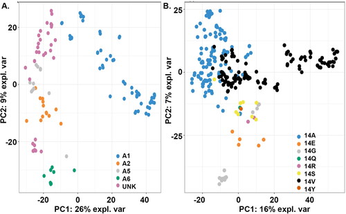 Figure 3. Principal component analysis of DREB proteins. (A) Clustering of DREB proteins based on group classification. (B) Clustering of DREB proteins based on amino acid substitutions observed at amino acid position 14 in the protein sequence. The amount of variance for the two principal components PC1 and PC2 are shown in percentage at the x-axis and y-axis respectively.
