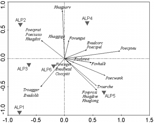 FIGURE 4.  Interspecific correlations as visualized by Principal Component Analysis (PCA). They are separated in four quadrats of the diagram. X-axis represents the 1st axis (λx = 0.438), Y-axis represents the 2nd axis (λy = 0.157); arrows are positions of species, and triangles are passively projected environmental centroids of alpine zones. They illustrate habitat preferences of the main species. They are: Coccorhagidia pittardi (Coccpitt), Evadorhagidia bezdezensis (Evadbezd), Evadorhagidia corcontica (Evadcorc), Evadorhagidia oblikensis (Evadobli), Foveacheles brevichelae (Fovbrevi), Foveacheles cegetensis (Fovceget), Foveacheles halltalensis (Fovhallt), Foveacheles proxima (Fovproxi), Foveacheles unguiculata (Fovungui), Poecilophysis pratensis (Poecprat), Poecilophysis pseudoreflexa (Poecpseu), Poecilophysis saxonica (Poecsaxo), Poecilophysis spelaea (Poecspel), Poecilophysis wankeli (Poecwank), Rhagidia distisolenidiata (Rhagdist), Rhagidia diversicolor (Rhagdive), Rhagidia gigas (Rhaggiga), Rhagidia longiseta (Rhaglong), Rhagidia parvilobata (Rhagparv), Troglocheles aggerata (Troagger), and Troglocheles archetypica (Troarche). Note the most extreme position of ALP1 (deeper underground scree voids) and species-empty position of ALP3 (dry Curvuletum–pasture without specific mites)