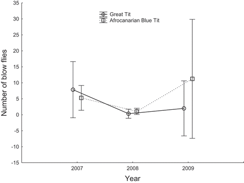Figure 3. Comparison of the number of blow fly larvae (Protocalliphora) per brood (means ± 95% CI) between Great Tits and Afrocanarian Blue Tits in cedar stands of Belezma National Park during 2007–2009.