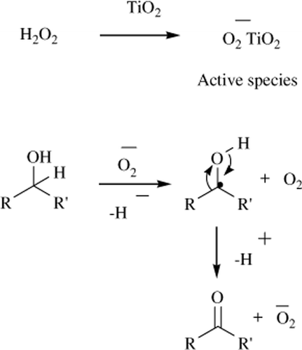 Scheme 2.  Proposed reaction mechanism for the oxidation.