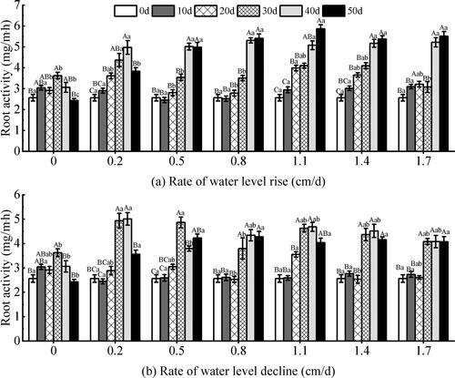 Figure 6. Effect of water level change on the Root activity of V. natans. Different capital letters indicate the difference between the same change rate and different test times, and different lowercase letters indicate the difference between the same test time and different change rates.