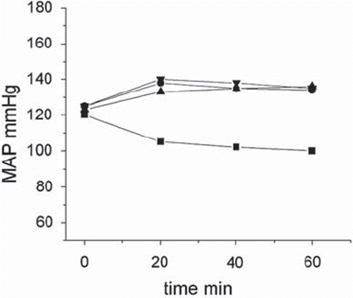 Figure 1. Comparison of the time course of the MAP increase produced by infusion in rats exchange transfused with solutions of either fumaryly X-linked bovine hemoglobin (a stabilized tetramer) or albumin with L-NAME. Ł) Albumin, Ł) Albumin + L-NAME, Ł) X-linked HB, Ł) L-NAME alone. Adapted from [Citation5].
