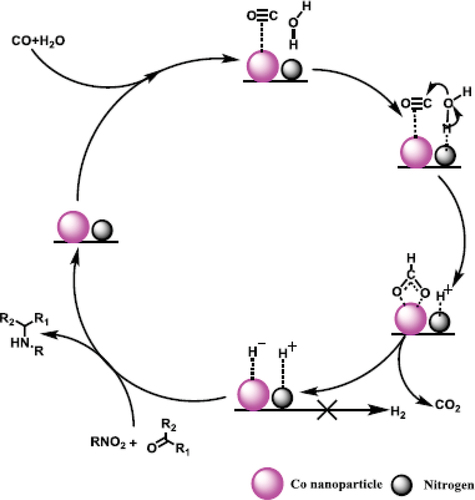 Figure 16. The reaction mechanism for one-pot reductive amination of nitrobenzene with benzaldehyde using the CO/H2O assisted system.[Citation95] Copyright Elsevier Ltd.
