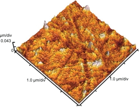 Figure 6 Atomic force microscopy of grafted polystyrene under 20 KGy (scale: 1 × 1 μm).