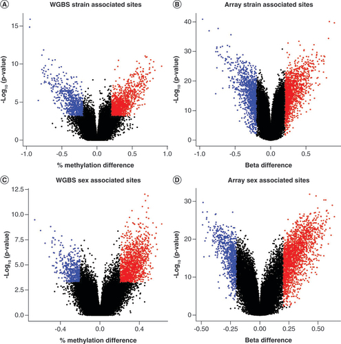 Figure 5. Volcano plots noting sites determined to be differentially methylated by limma for strain by (A) Whole Genome Bisulfite Sequencing (WGBS) and (B) the mouse methylation beadchip (MMB) array as well as for sex by (C) WGBS and (D) array.The -log10(p-value) is displayed on the x-axis while the difference in percent methylation and beta value for each group is denoted along the y-axis. Blue dots indicate DMCs that were higher in the referent group by at least 20% while red dots indicate DMCs that were higher in the referent group by at least 20%.