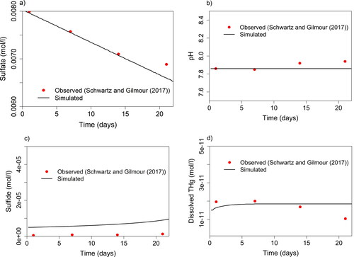 Figure 4. Parameters sulfate (a), pH (b), sulfide (c), and dissolved THg (d) measured (red dots) by Schwartz and Gilmour (Citation2017) during incubation experiments with controlled conditions in comparison to PHREEQC simulation performed in this study (solid lines). Initial conditions of the simulation (Supporting Information Table S7) were based on initial conditions of the incubation.