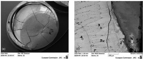 Fig. 11. SEM images of (a) the posttreatment sample in realistic geometry and (b) zoom in the periphery area. The composition of the selected point is reported in Table III. Source: OECD (2021) (CitationRef. 11).