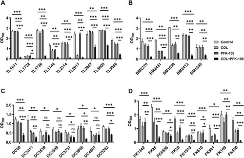 Figure 2 Biofilm inhibitory effects of colistin combined with PFK-158 on colistin-resistant GNB. (A) P. aeruginosa; (B) A. baumannii; (C) E. coli; (D) K. pneumoniae. *p < 0.05; **p < 0.01; ***p < 0.001. (determined by a two-sample t-test). The results are shown as the mean and standard deviation of three independent experiments.