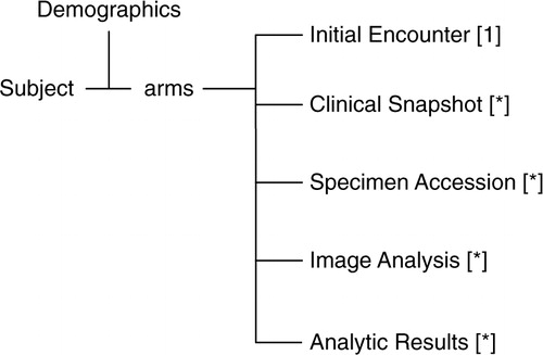 Fig. 3.  Overview of the subject data model. The Clinical Snapshot table maintains pointers to sub tables with multimodal clinical data. The Specimen Accession table maintains pointers to sub tables that track the global virtual specimen inventory. The Analytic Results table maintains pointers to sub tables that hold an analytic research methods catalogue and analytic research data as tied to a particular specimen. There are cross pointers not shown between these various tables. Cardinality is in square brackets (* indicates 0 or more). Relationships between the members of the arm are not depicted here.