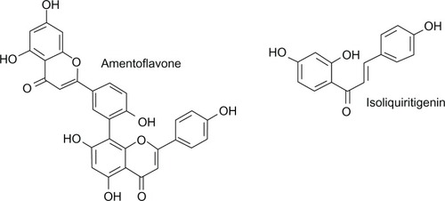 Figure 4 Molecular structures of amentoflavone and isoliquiritigenin.