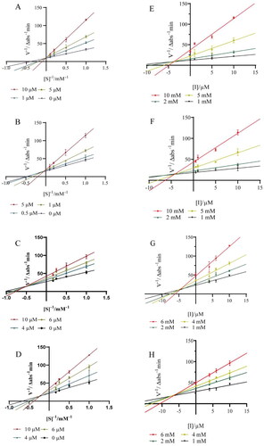 Figure 5. Lineweaver-Burk plots for PTP1B inhibition of compounds 7 (A), 8 (B), 9 (C) and 10 (D). Dixon plots for PTP1B inhibition of compounds 7 (E), 8 (F), 9 (G) and 10 (H). Each value was expressed as means ± SD of three replications.