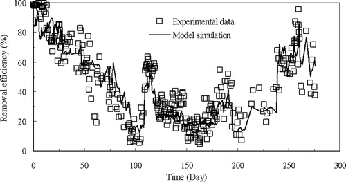 Figure 4. Model simulations (lines) and experimental data (symbols) of chlorobenzene removal efficiencies of the control biofilter (no UV treatment).